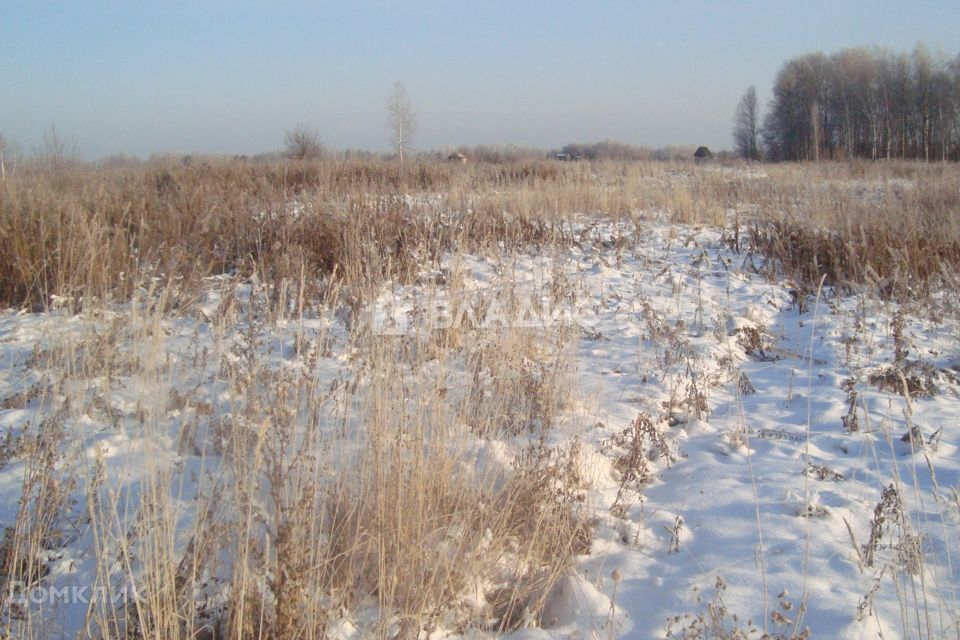 земля р-н Тамбовский село Садовое фото 1