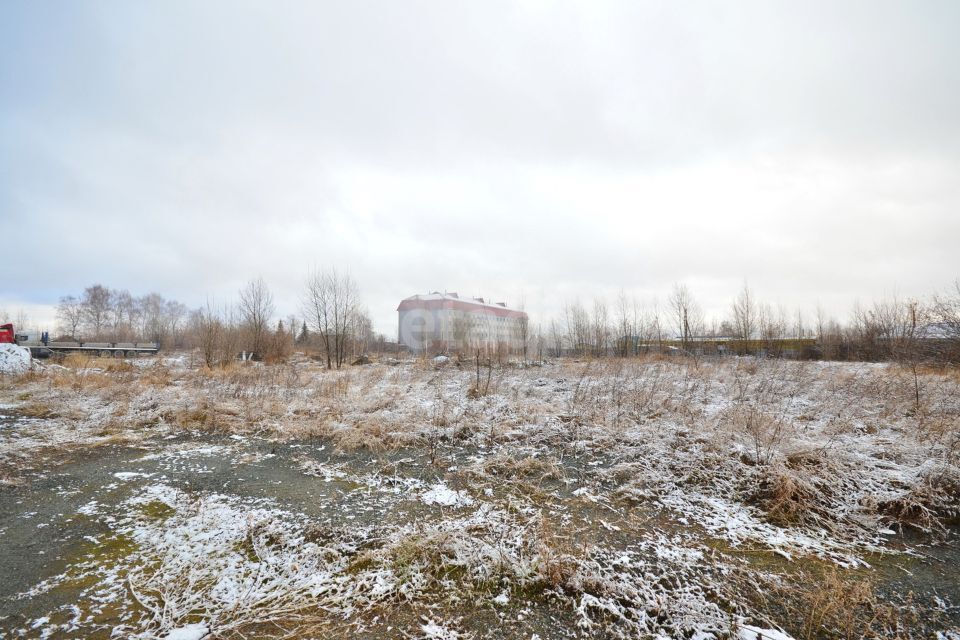 земля г Ялуторовск ул Революции городской округ Ялуторовск фото 3