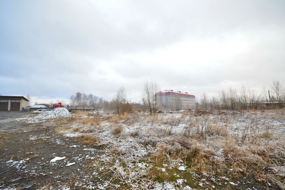 земля г Ялуторовск ул Революции городской округ Ялуторовск фото 4