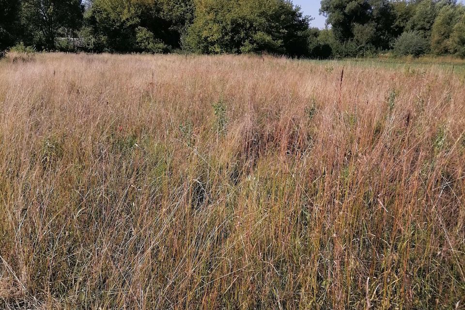 земля р-н Скопинский село Горлово фото 1