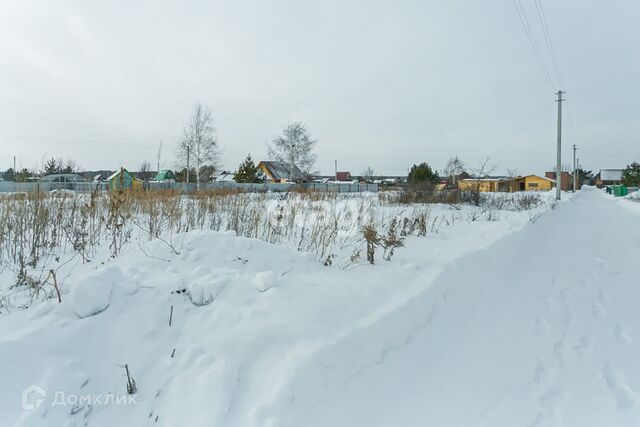 земля снт Лесное ул 12-я 8 городской округ Бердск фото