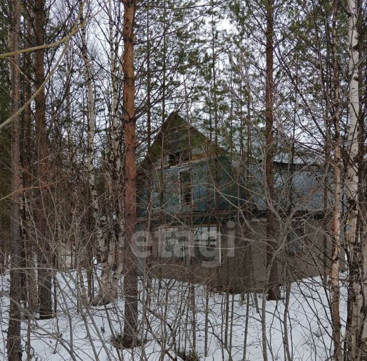 дом г Северодвинск снт Пеньки муниципальное образование фото 13