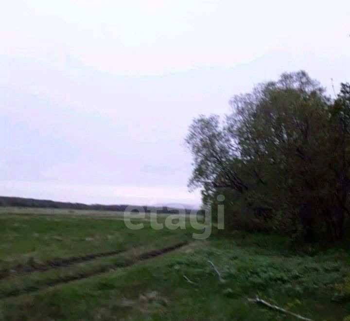 земля г Петропавловск-Камчатский Заозёрный фото 4