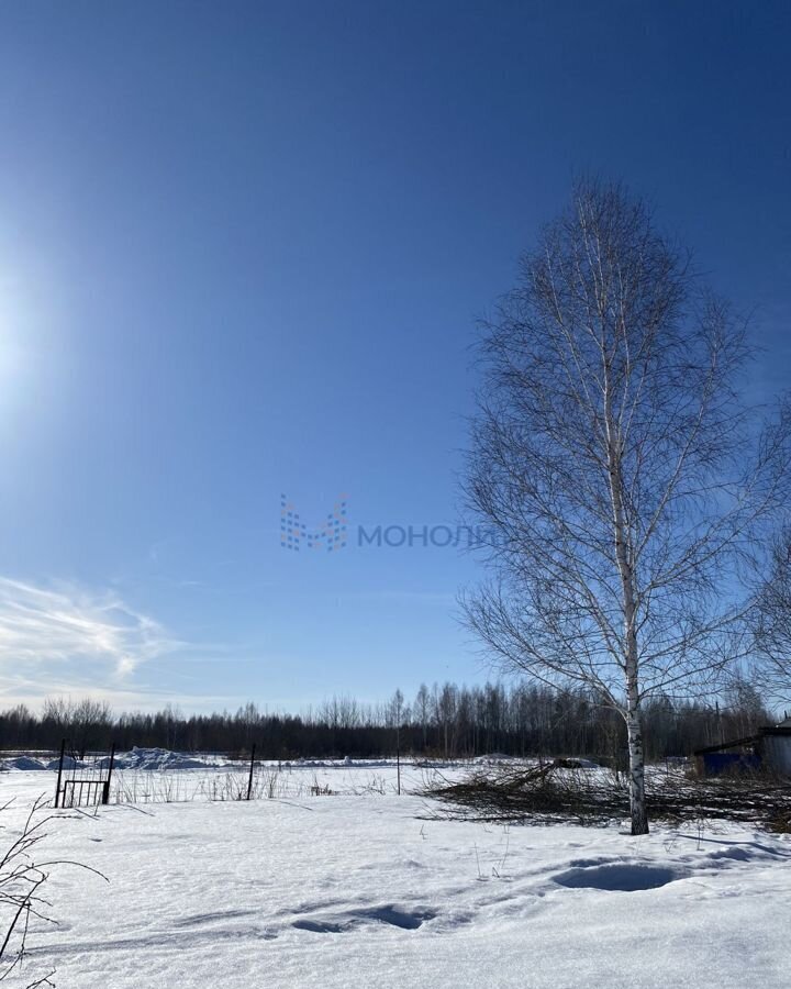 земля р-н Кстовский г Кстово Деревня, д. Новая фото 5