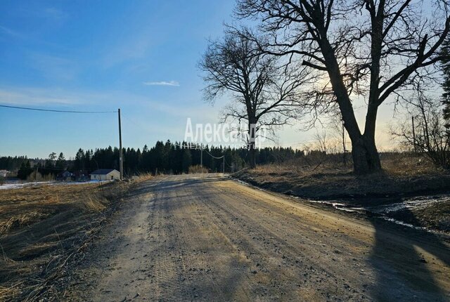 ул Полевая фото