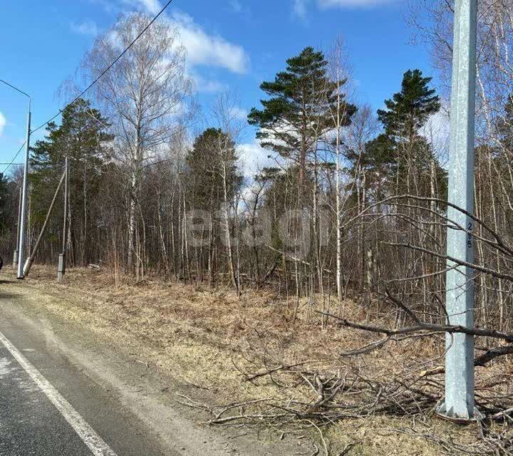 земля р-н Томский п Синий Утёс ул Парковая фото 2