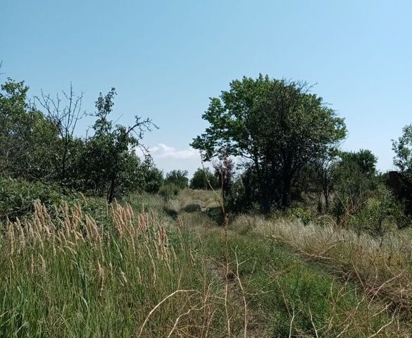 г Ейск садоводческое товарищество Весна фото