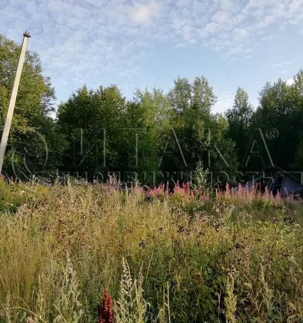 земля р-н Лодейнопольский городской посёлок Свирьстрой, улица Клинцовая Кара фото 2