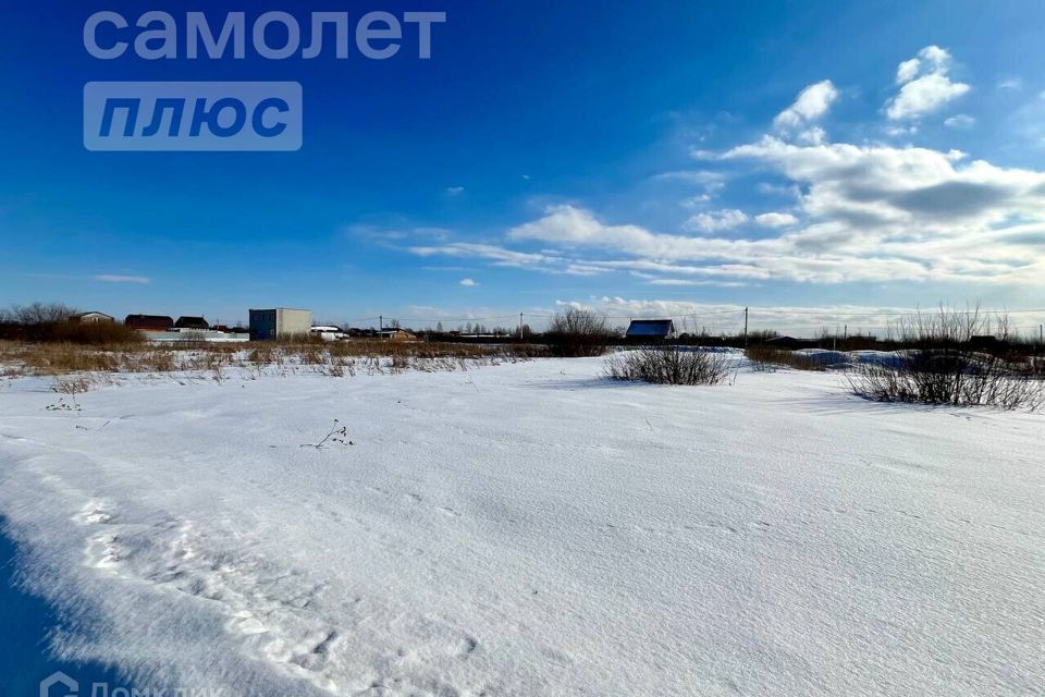 земля г Тюмень снт Царево ул Тальниковая городской округ Тюмень фото 1