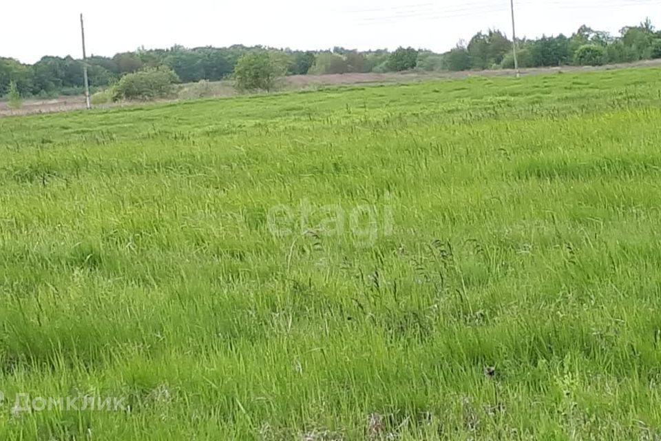земля р-н Зеленоградский посёлок Мельниково фото 3