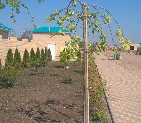 ул 1-го Мая муниципальное образование Краснодар фото