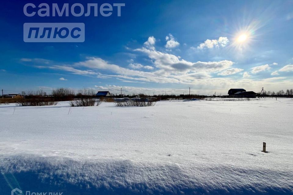 земля г Тюмень снт Царево ул Тальниковая городской округ Тюмень фото 8