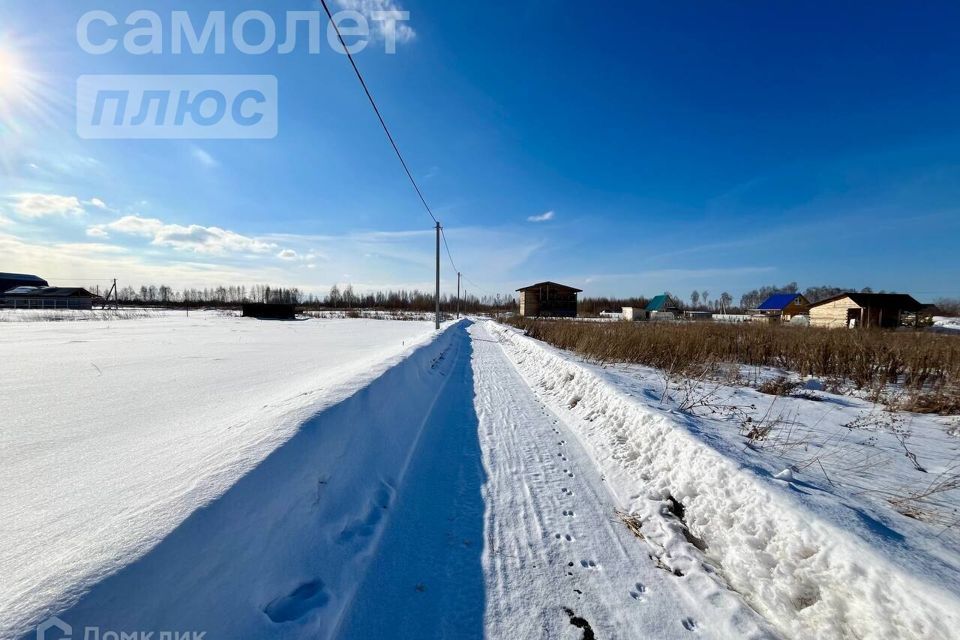 земля г Тюмень снт Царево ул Тальниковая городской округ Тюмень фото 10