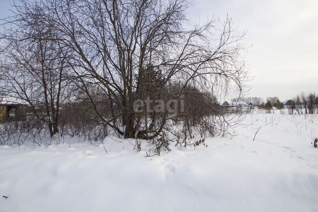 земля СНТ Колос, Заводоуковский городской округ фото