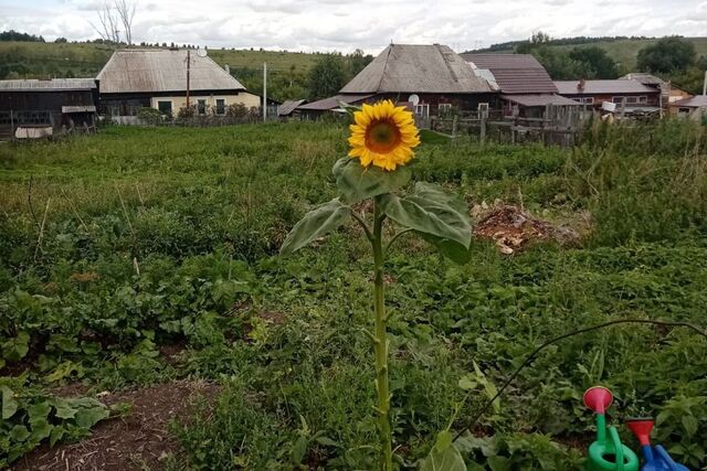 п Калачево ул Азарова фото