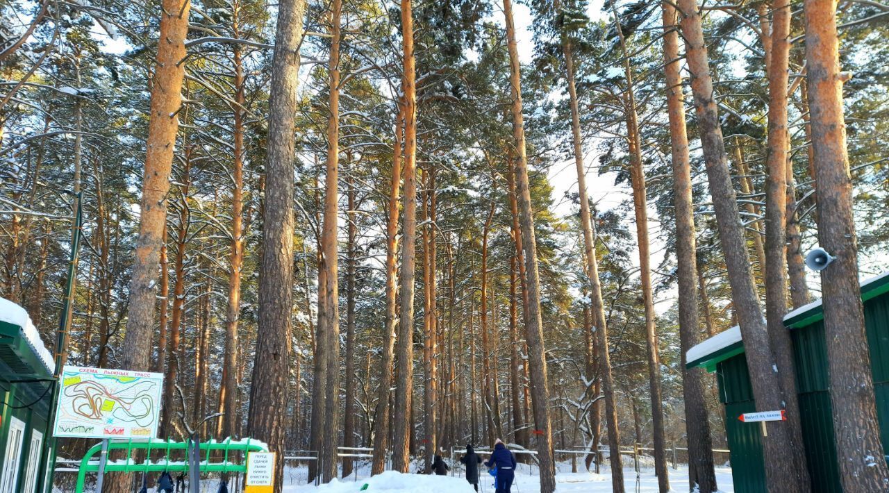 квартира г Новосибирск р-н Октябрьский ул Выборная 99/8 фото 17