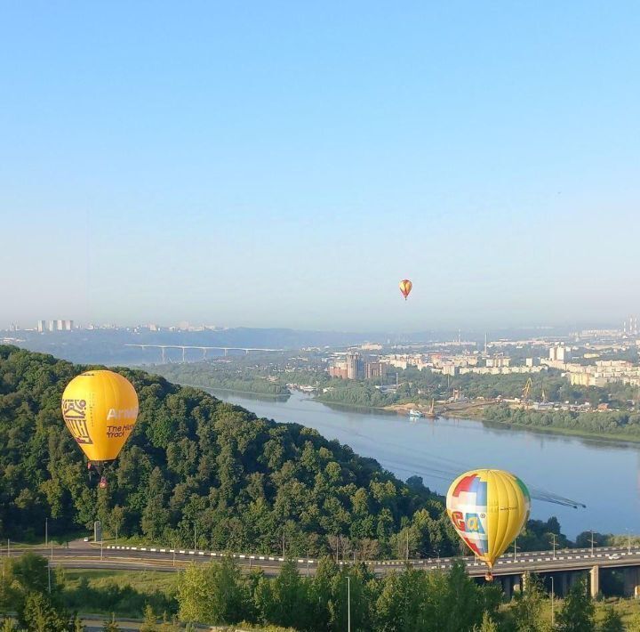 квартира г Нижний Новгород Горьковская ул Маршала Баграмяна 2 фото 14