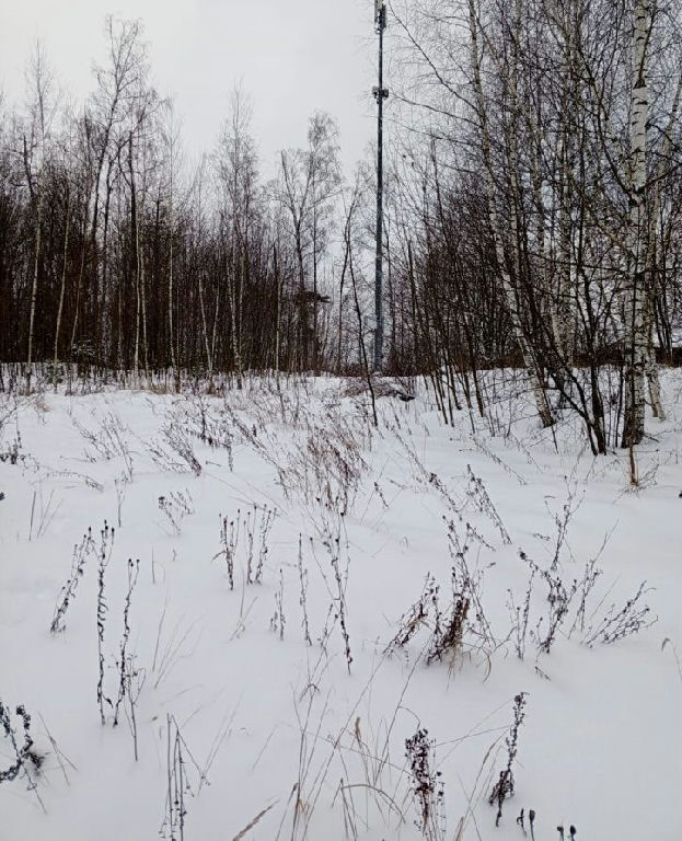 земля городской округ Солнечногорск д Лунёво фото 1