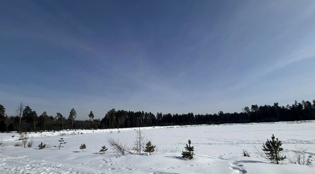 земля южнее пос. Фрязево СНТ, 1-я линия фото