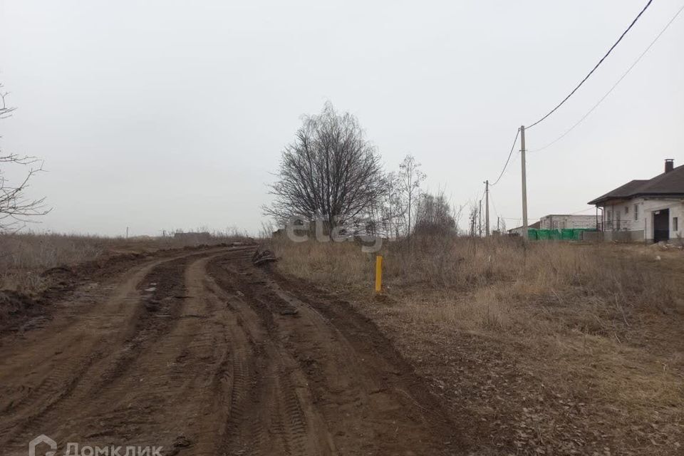 земля р-н Белгородский с Крутой Лог ул Виноградная фото 1