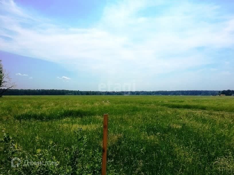 земля р-н Липецкий село Терновое фото 3