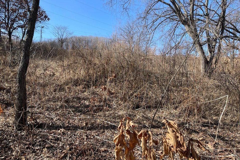 земля Находкинский городской округ, Находка фото 5