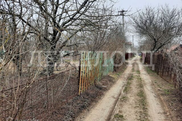 садовое товарищество Дружба фото