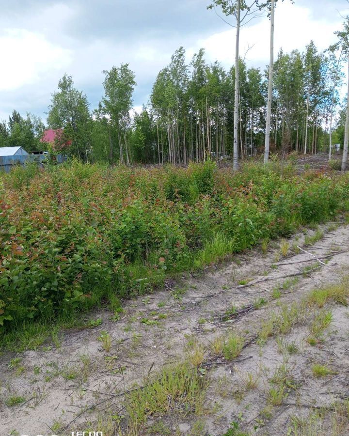 земля г Лангепас снт СОТ Рябинушка Тюменская обл., Нижневартовск фото 1