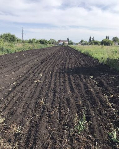 земля р-н Кировский фото