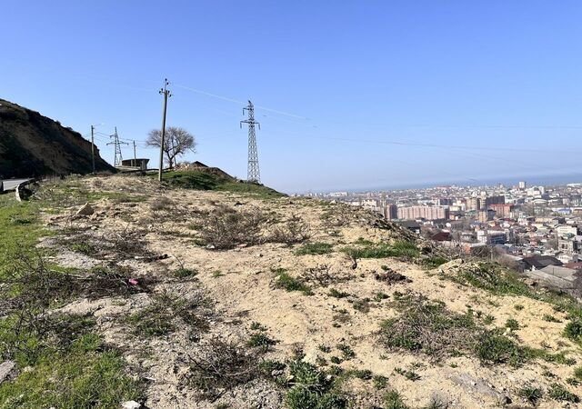 ул Шейха Мухаммад Мухтара Советский фото