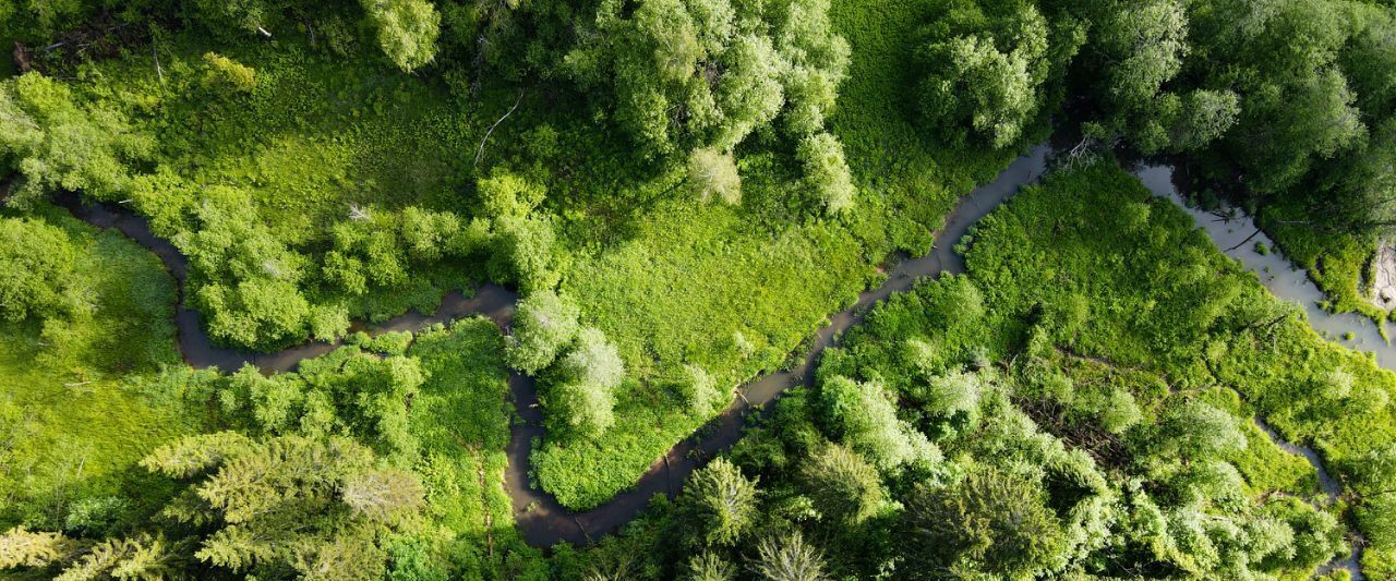 земля г Балашиха кв-л Изумрудный Дмитровский городской округ фото 16