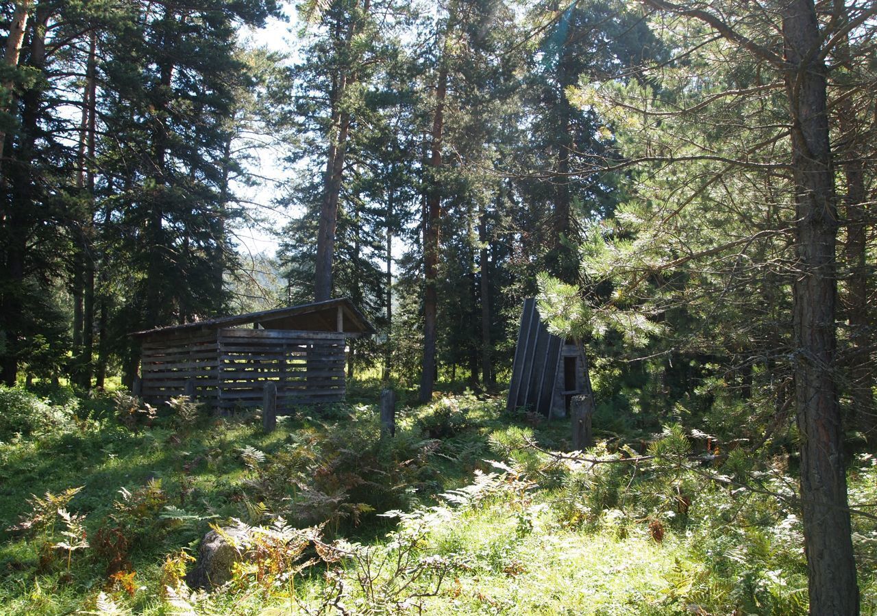 земля р-н Турочакский с Кебезень ул Береговая Турочак фото 28