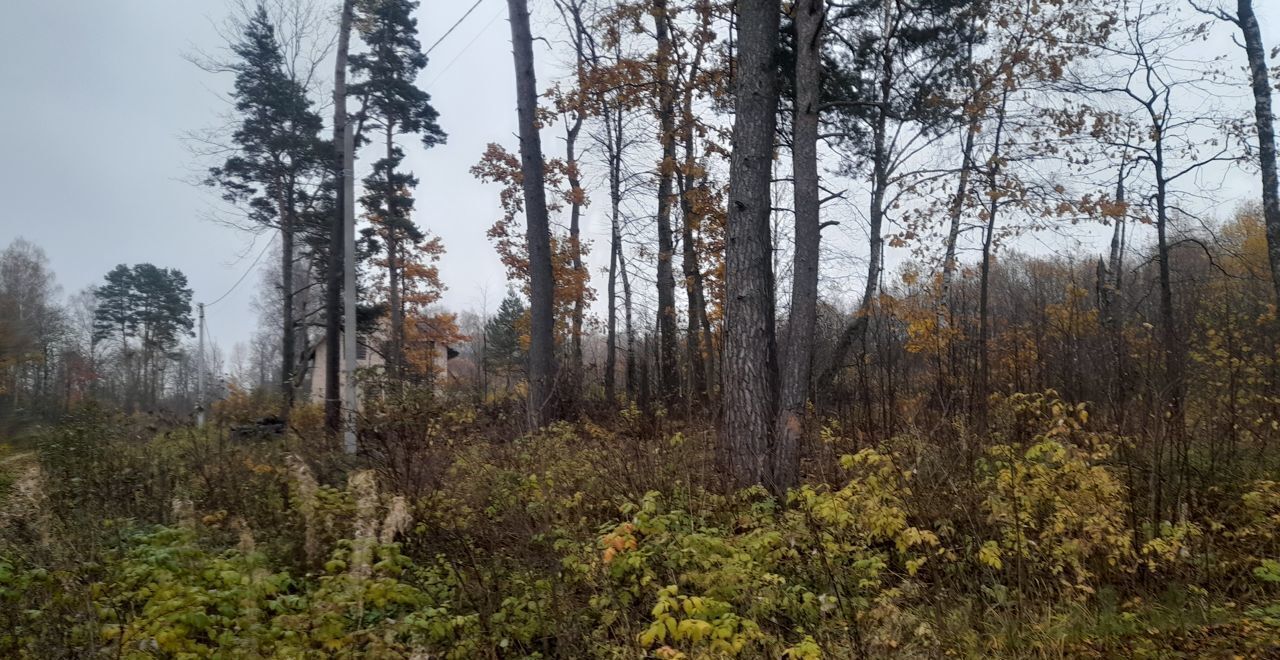 земля р-н Боровский д Сатино сельское поселение Совьяки, Боровск фото 4