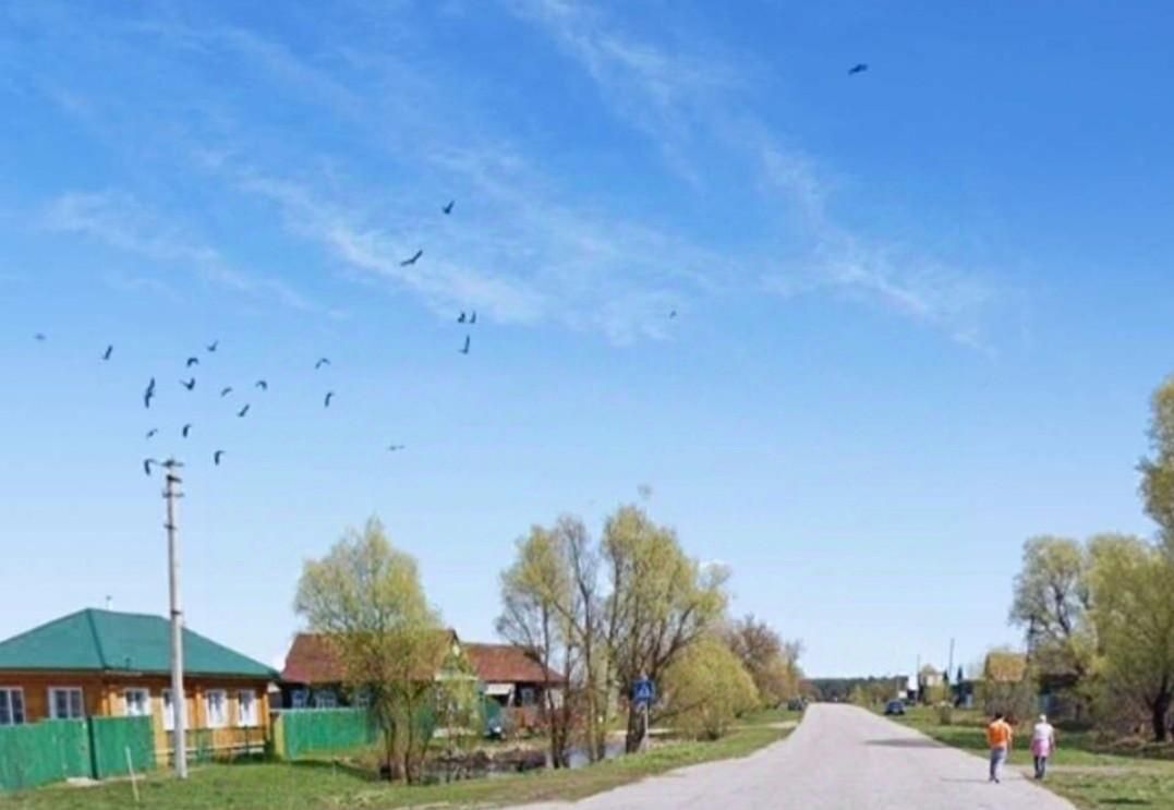 земля р-н Селивановский Малышевское муниципальное образование фото 7