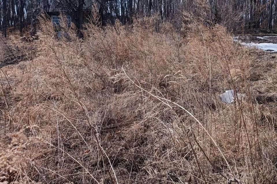 дом г Уссурийск СТ Восток, Уссурийский городской округ фото 4