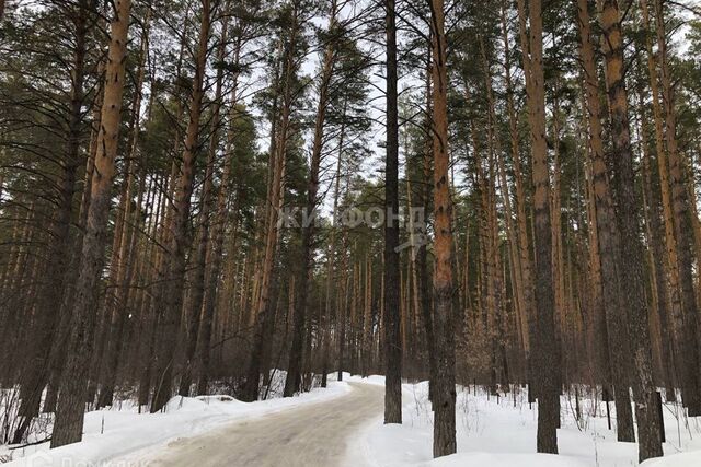 СНТ Бытовик, городской округ Новосибирск фото