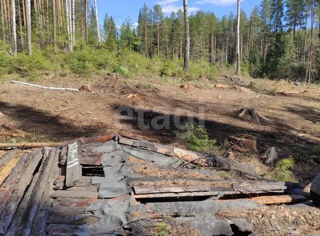 земля село Таватуй фото