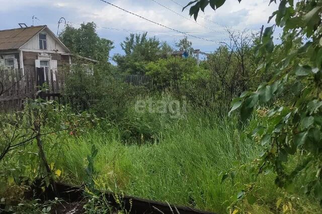 городской округ Омск, садоводческое некоммерческое товарищество Локомотив фото