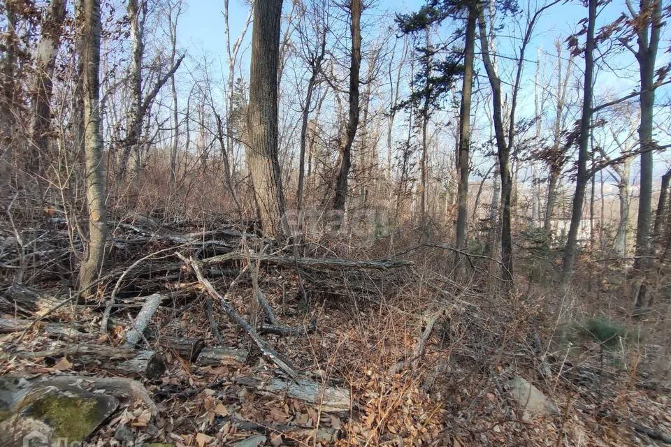 земля г Владивосток ул Артековская Владивостокский городской округ фото 8