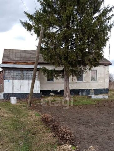 с Нижняя Матренка Нижнематренский сельсовет фото