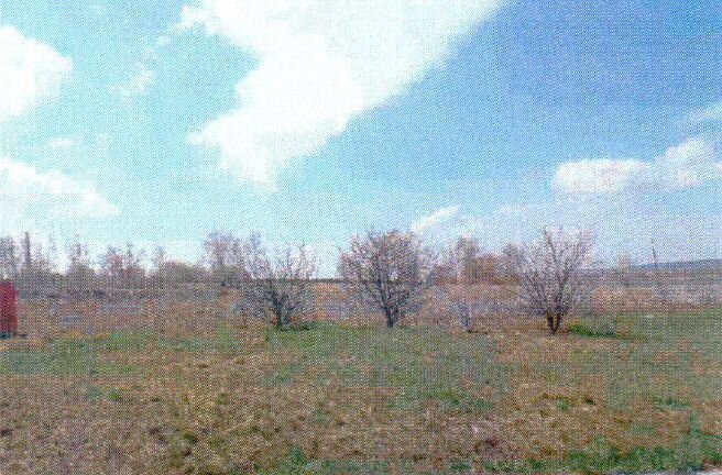 земля р-н Острогожский г Острогожск фото 4