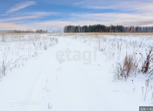 земля р-н Костромской Середняковское сельское поселение фото 4