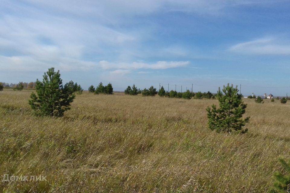 земля р-н Каменский с Черемхово ул Александровская фото 2