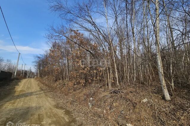 Артёмовский городской округ, дачный массив Синяя Сопка, СНТ Фарфорист-2 фото