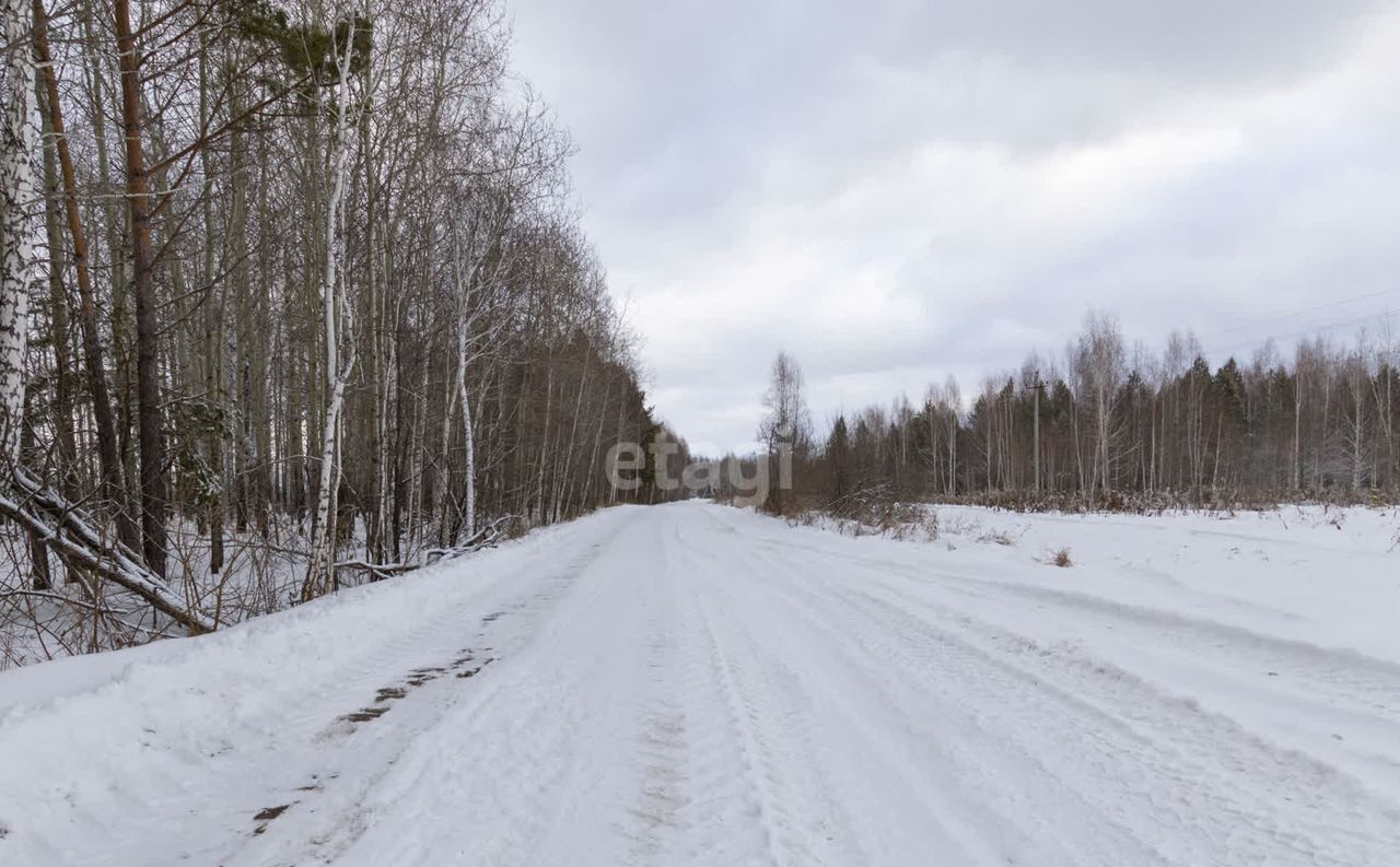 земля р-н Нижнетавдинский п Торгили Каскара фото 3