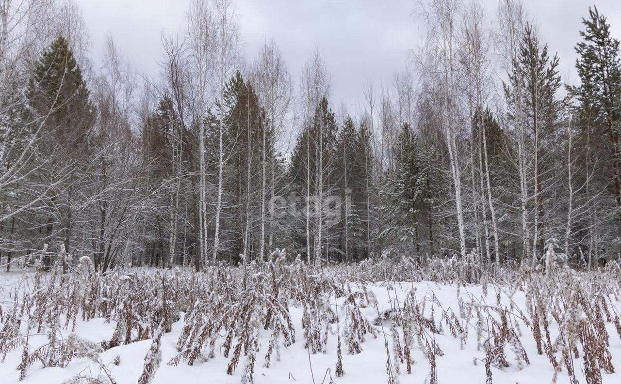 земля р-н Нижнетавдинский п Торгили Каскара фото 10