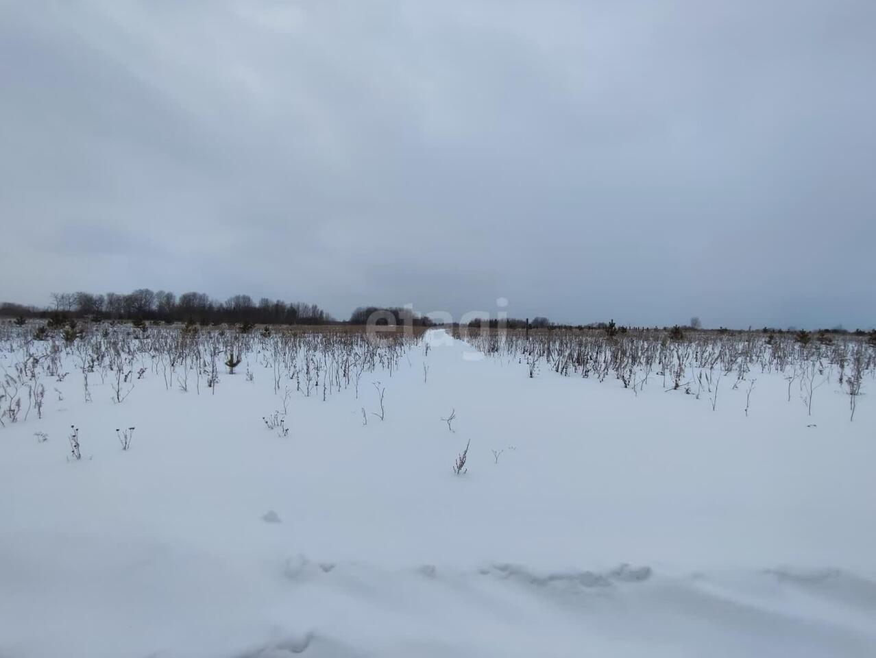 земля г Алапаевск ул Старых Большевиков фото 1