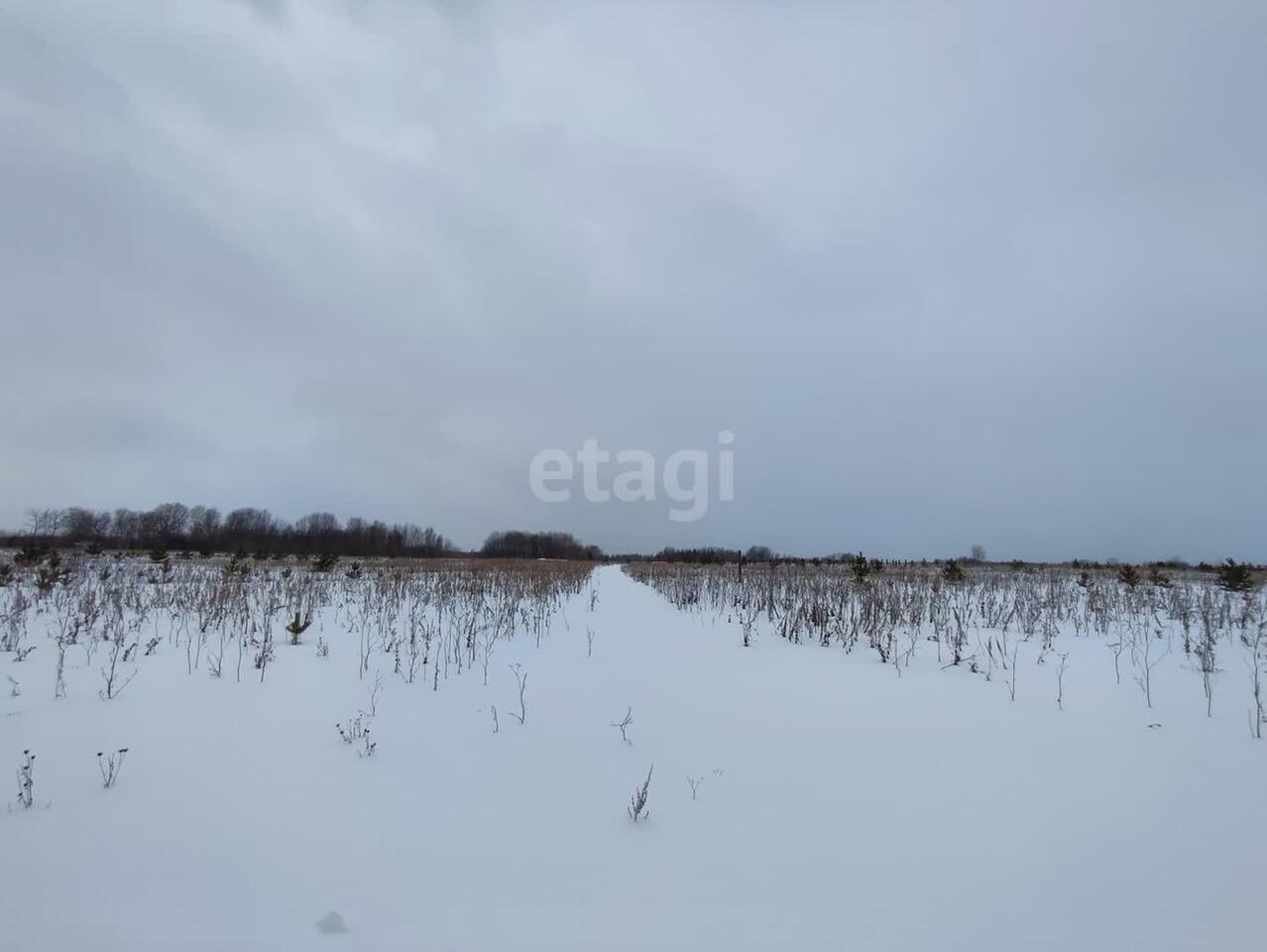 земля г Алапаевск ул Старых Большевиков фото 2