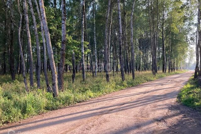 земля сельское поселение Сильково фото