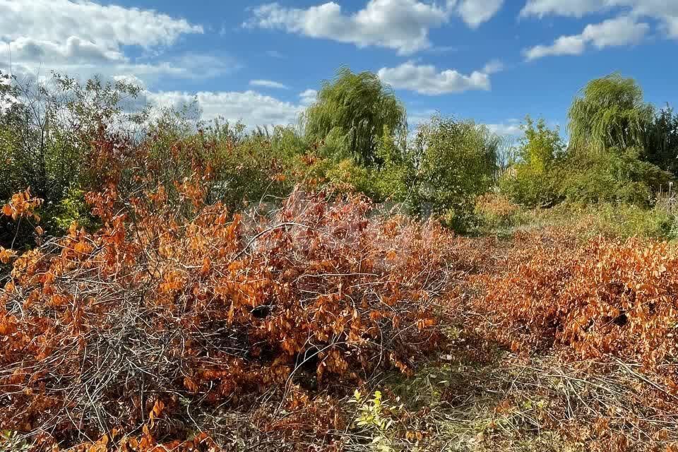 земля р-н Красноярский снт Сокские зори 6-й массив, 36 фото 3